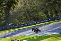 Black Bikes